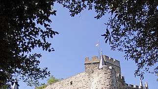 Burg Lahneck