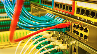 network cables connected to switch